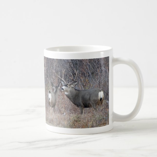 D29 Mule Deer Buck and Doe Coffee Mug (Right)
