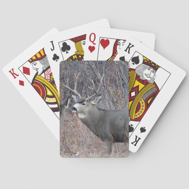 D29 Mule Deer Buck Playing Cards (Back)