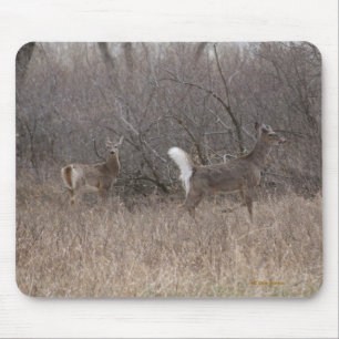 D2 White-tailed Deer in Cottonwood Trees Mouse Pad