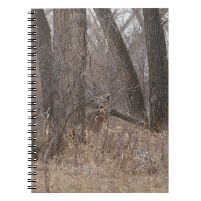 D2 White-tailed Deer in Cottonwood Trees Notebook (Front)