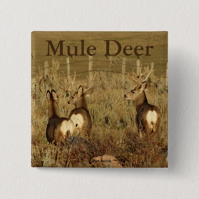 D30 Mule Deer Bucks 2 Inch Square Button (Front)