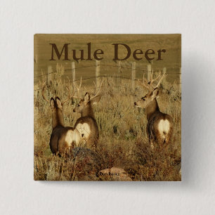 D30 Mule Deer Bucks 2 Inch Square Button
