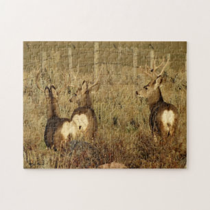 D30 Mule Deer Bucks Jigsaw Puzzle