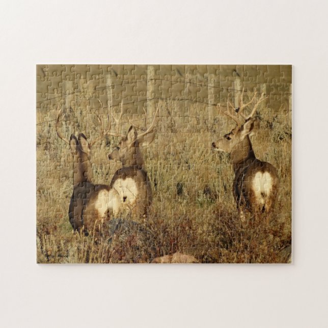 D30 Mule Deer Bucks Jigsaw Puzzle (Horizontal)