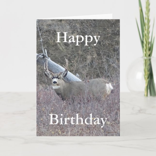 D32 Mule Deer Buck Holiday Card (Front)