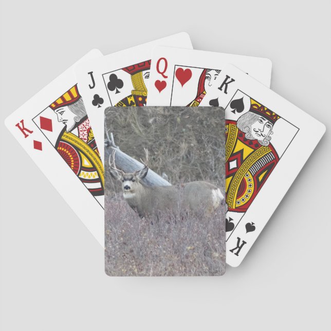 D32 Mule Deer Buck Playing Cards (Back)