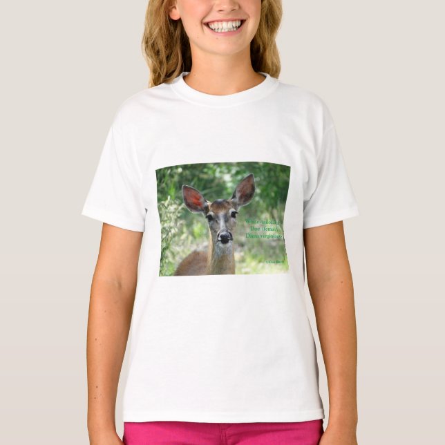 D33 White-tailed Deer Doe T-shirt (Front)