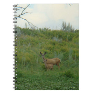 D5 Mule Deer Doe and Fawn Notebook
