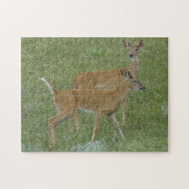D6 White-tailed Deer Young Bucks Jigsaw Puzzle (Horizontal)