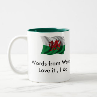 D6G Word from Wales Mug