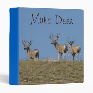 D9 Mule Deer Bucks in Velvet Binder