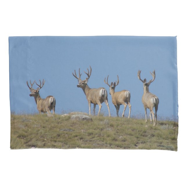 D9 Mule Deer Bucks in Velvet Sky Lined Pillowcase (Front)