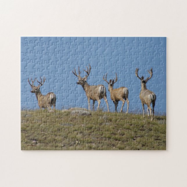 D9 Mule Deer Bucks Sky Lined Jigsaw Puzzle (Horizontal)