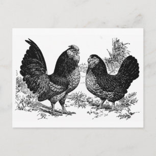 d' Anver Club Postcard