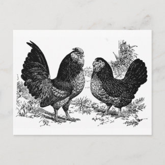 d' Anver Club Postcard