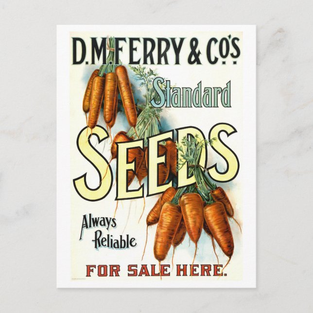 D.M. Ferry Vintage Carrot Seed Advertisement Postcard (Front)
