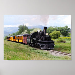 D&SNGR Engineer Checks Track Poster