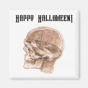 Da Vinci Halloween Science Anatomy Skull Print Magnet