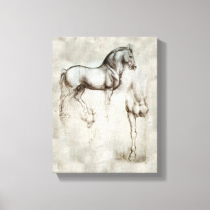 Da Vinci Horse Canvas Print