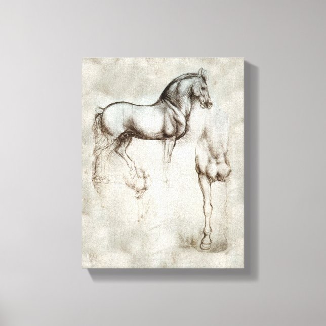 Da Vinci Horse Canvas Print (Front)