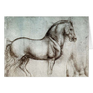 Da Vinci Horse Study Renaissance Sketch Art
