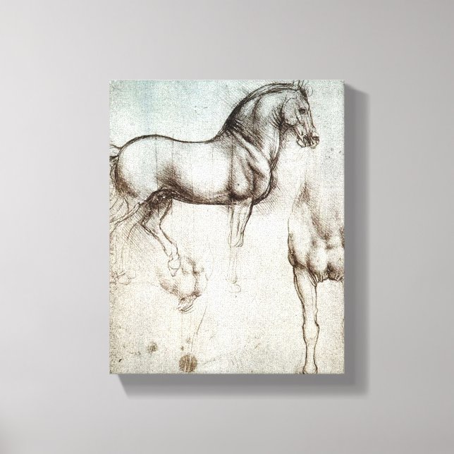 Da Vinci Horse Study Renaissance Sketch Fine Art Canvas Print (Front)