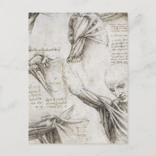 Da Vinci, Leonardo - Study of Anatomy Postcard