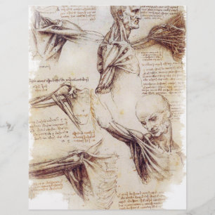 da Vinci -- Shoulder Sketch Flyer