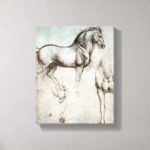 Da Vinci Study of a Horse Renaissance Fine Art Canvas Print