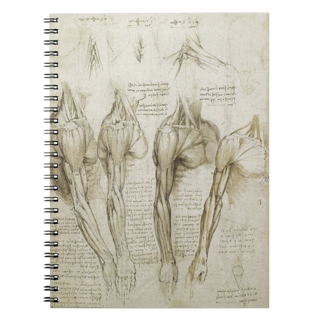 Da Vinci's Human Skeleton Anatomy Sketches Notebook (Front)