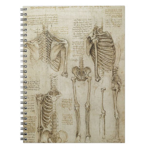 Da Vinci's Human Skeleton Anatomy Sketches Notebook