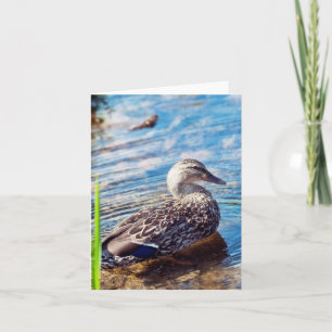 Dabbling Ripples Card