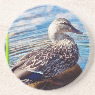 Dabbling Ripples Coaster