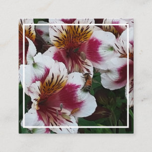 D'accompagnement Carte de boîtier abeille et alstromerias