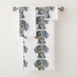 Dachshund 