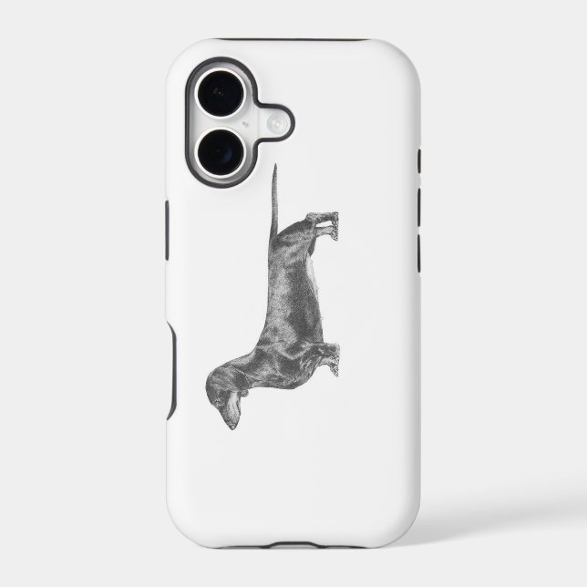 Dachshund (Back)
