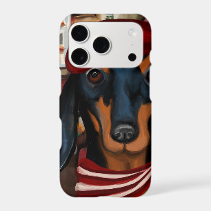 Dachshund