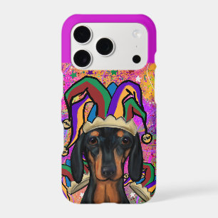 Dachshund       