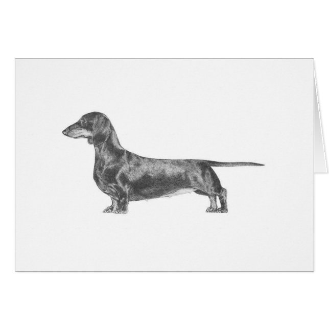 Dachshund (Devant horizontal)