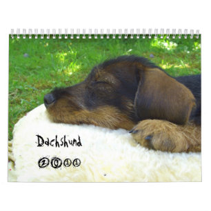 Dachshund 2011 - customizable calendar! calendar