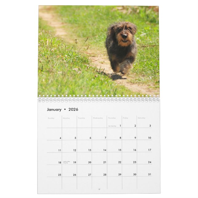 Dachshund 2011 - customizable calendar! calendar (Jan 2026)