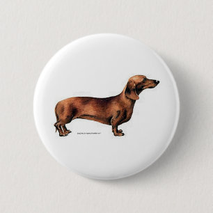 Dachshund 2 Inch Round Button