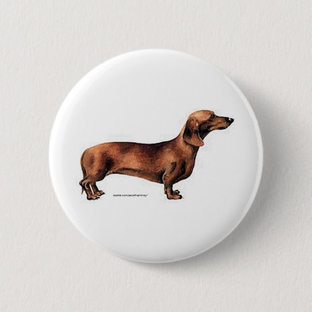 Dachshund 2 Inch Round Button (Front)