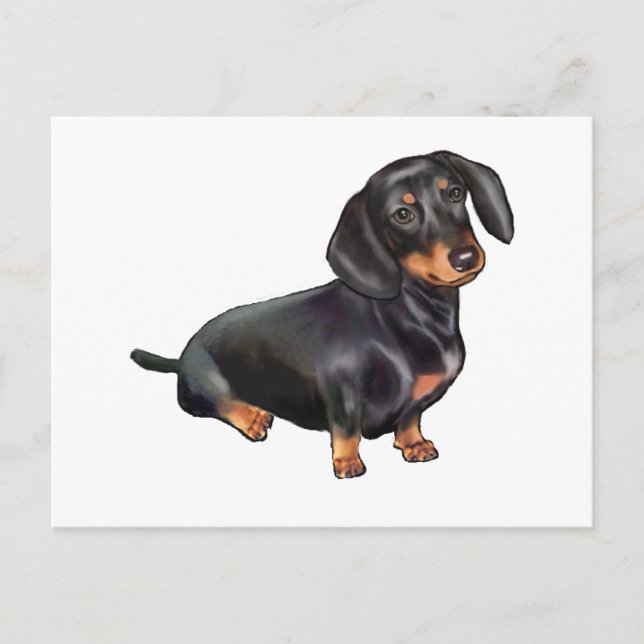 Dachshund (A) - Black and Tan Postcard (Front)