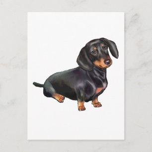 Dachshund (A) - Black and Tan Postcard