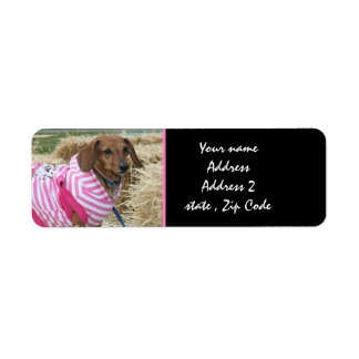 Dachshund Address Labels
