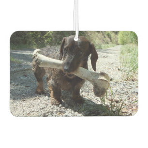 Dachshund Air Freshener