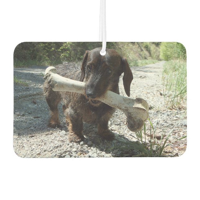 Dachshund Air Freshener (Front)