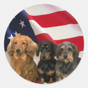 Dachshund America Sticker