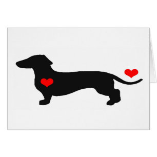 Dachshund Amour avec les coeurs